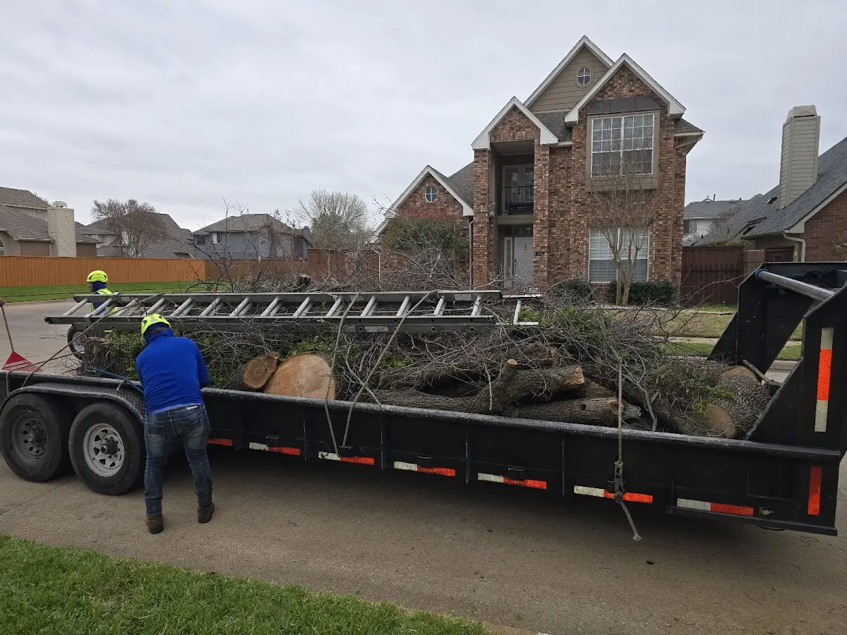 Expert Tree Fertilization with proper safety equipment in Colusa